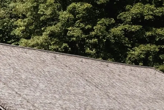 close up of a wood shingle roof.