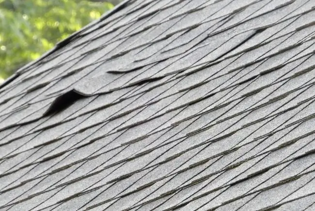 curled section of old shingles