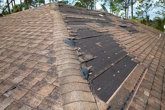 leaking roof becuase of missing shingles