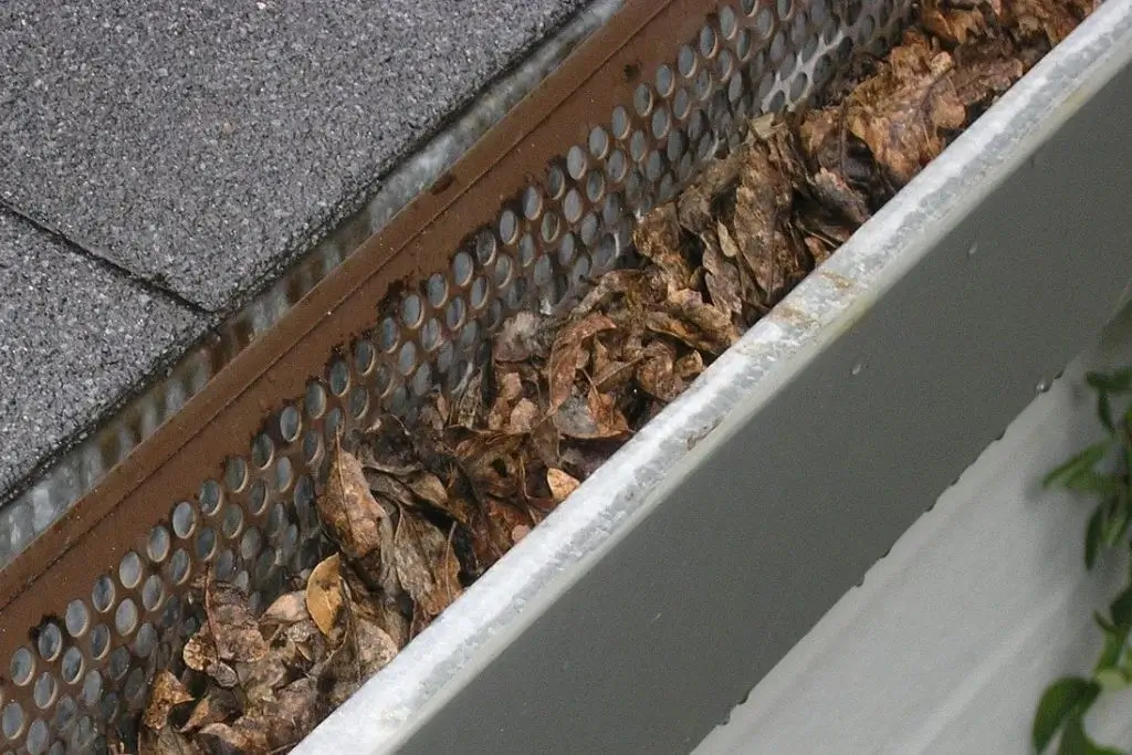 clogged gutters and roof damage