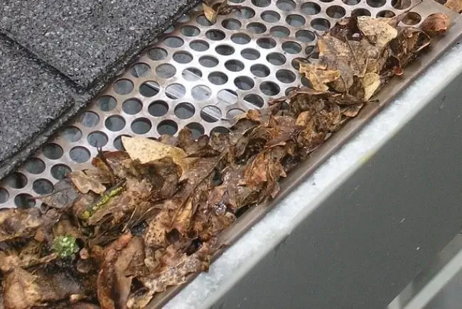 gutter guards keeping fallen leaves out