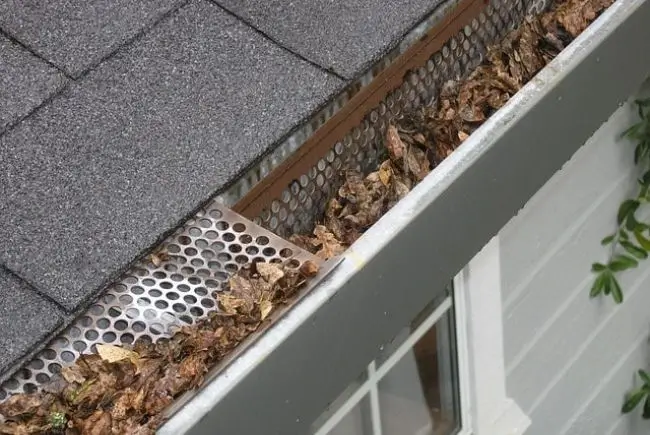 gutters clogged with leaves and other debris